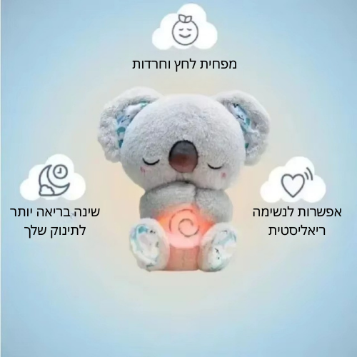 חבר הקואלה החדש של האוצר שלך
