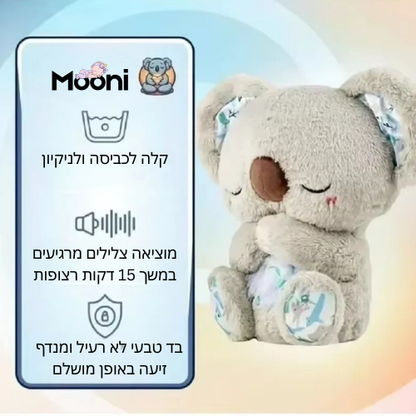 חבר הקואלה החדש של האוצר שלך
